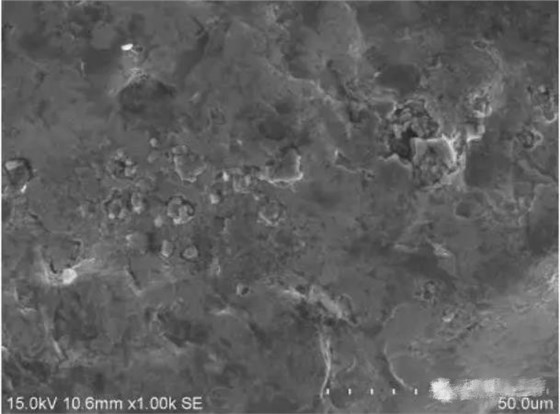 圖7 斷面A1區形貌