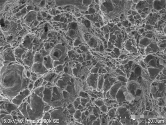 圖15 斷面D區形貌