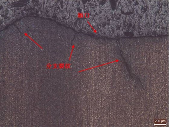 斷裂擴展區縱截面金相組織