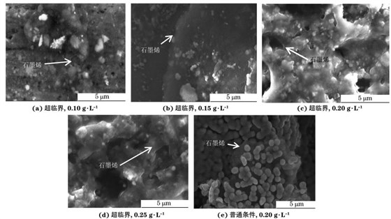 圖2 兩種條件不同 GO質量濃度下制備復合電鑄層的SEM 形貌 圖2 兩種條件不同 GO質量濃度下制備復合電鑄層的SEM 形貌