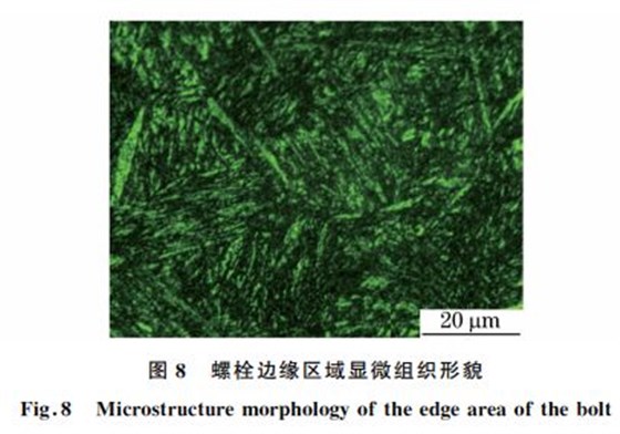 圖８ 螺栓邊緣區域顯微組織形貌