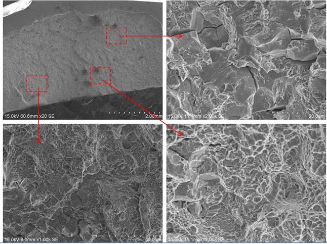 斷面C1區微觀形貌