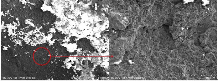 圖2 斷口源區宏、微觀形貌，沿晶特征+二次裂紋