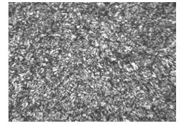 35鋼原材料正火態金相組織