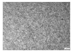 30CrMnSi自鎖螺母調質金相組織 100×