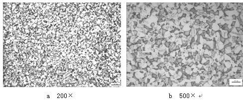 HPb59-1螺母成品的金相組織 HPb59-1螺母成品的金相組織