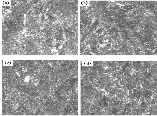 圖12-15 （a、b、c、d） 1～4號(hào)樣金相組織 500×