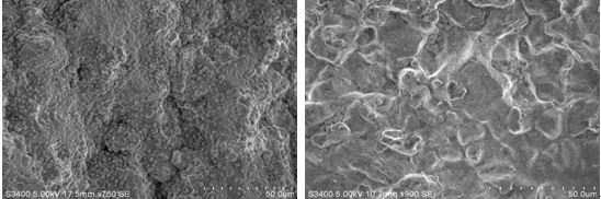 圖13-12 月牙狀區域微觀形貌圖13-13 晶界表面腐蝕跡象