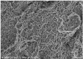 圖11-68 斷面終斷區微觀形貌