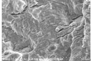 圖11-121 斷面F區的疲勞條帶