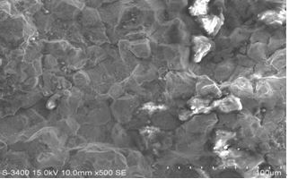圖13-98 A區斷面微觀形貌