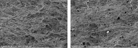 圖11-216斷面D區微觀形貌 圖11-217斷面孔洞形貌