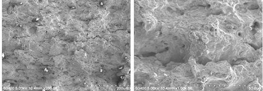 圖9-13 瞬斷區低倍形貌 圖9-14 瞬斷區高倍韌窩形貌