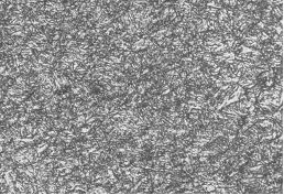 圖5-2 40CrNiMoA合金螺栓調質金相組織400×
