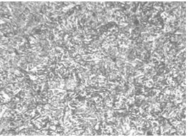 圖5.10 3Cr13螺栓調質金相組織200×