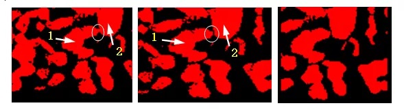 圖6形態學處理效果圖