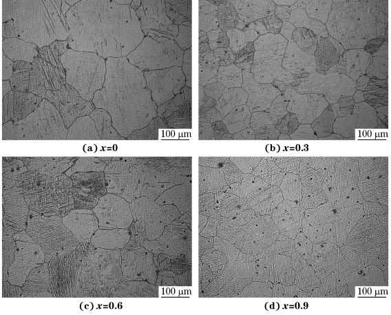 圖４ 均勻化處理態MgＧ５ZnＧ１MnＧxSn合金的顯微組織