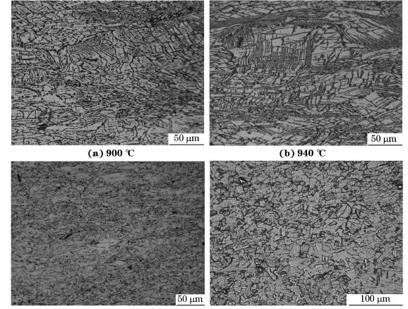 圖５ 在不同溫度、應變速率為０．０１０s－１下壓縮至應變量為７０％后GH４１６９合金的顯微組織