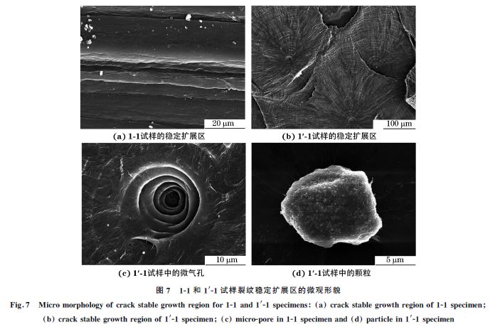 圖７ １Ｇ１和１′Ｇ１試樣裂紋穩定擴展區的微觀形貌