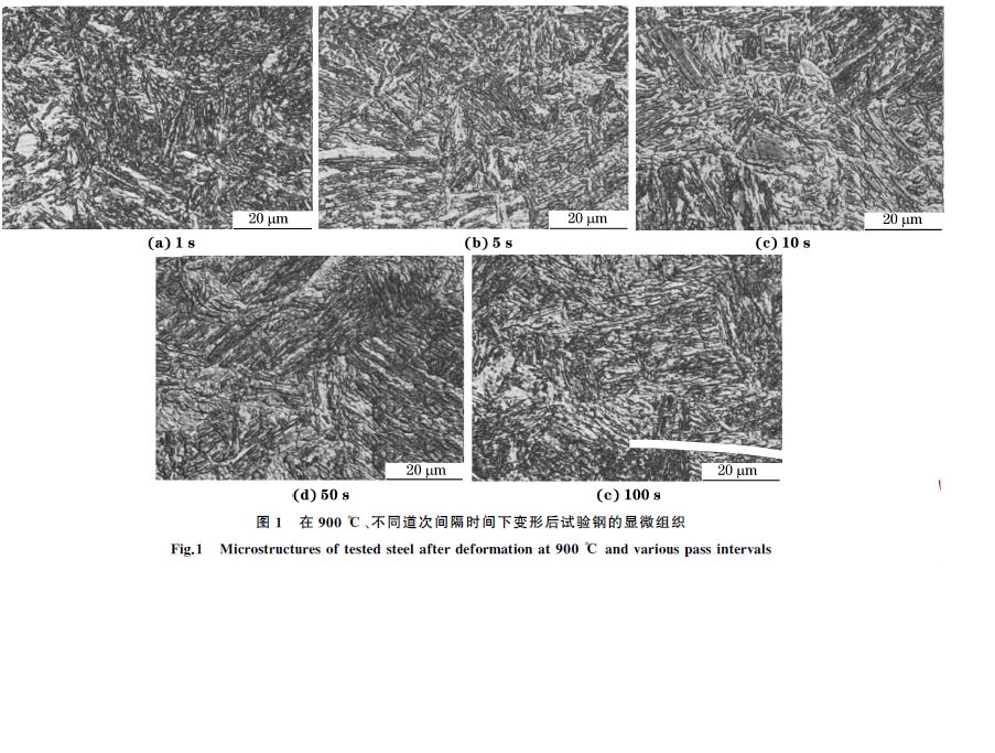 圖1 在900 ℃、不同道次間隔時間下變形后試驗鋼的顯微組織 圖1 在900 ℃、不同道次間隔時間下變形后試驗鋼的顯微組織