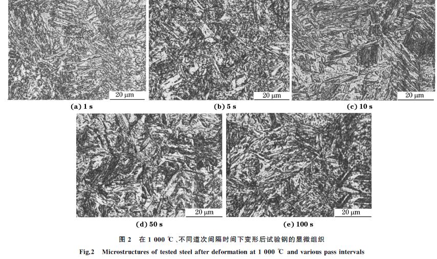 圖２ 在１０００ ℃、不同道次間隔時間下變形后試驗鋼的顯微組織