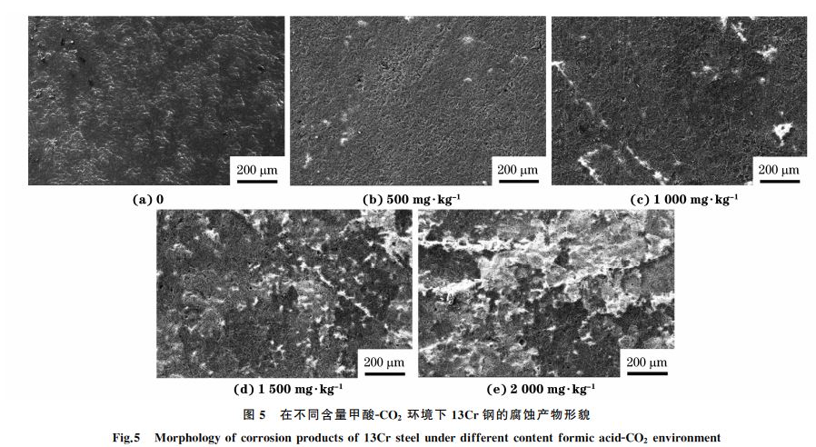 圖５ 在不同含量甲酸ＧCO２ 環境下１３Cr鋼的腐蝕產物形貌
