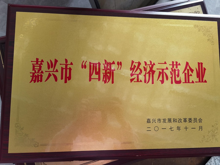 3 嘉興市“四新”經濟示范企業